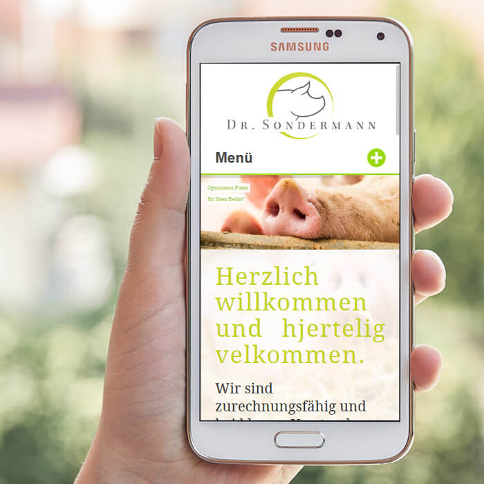 Auf Smartphone nutzbar dank Responsive - Webdesign