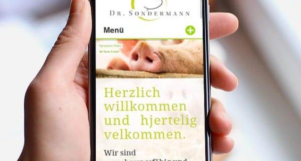 responsive Webdesign aus Weimar für mobile Geräte