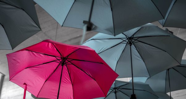 Mit einer komplett Individuellen Website stellen Sie Ihre Konkurrenz in den Schatten. Mit einer komplett Individuellen Website stellen Sie Ihre Konkurrenz in den Schatten.